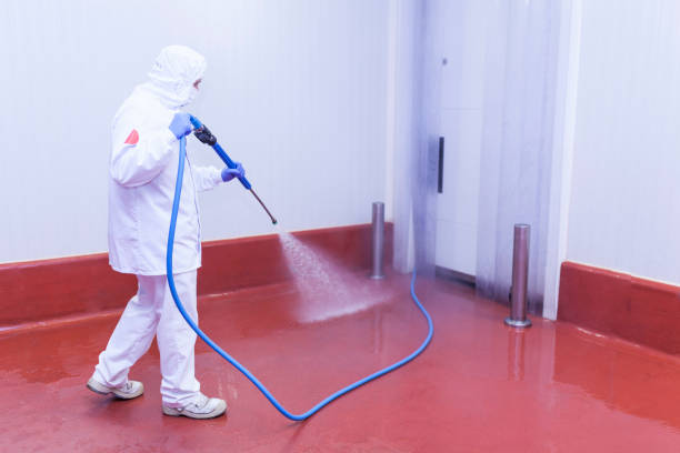 Spring Cleaning in Paoli, PA