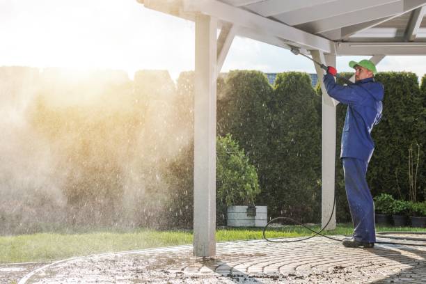 Best Solar Panel Cleaning  in Oli, PA